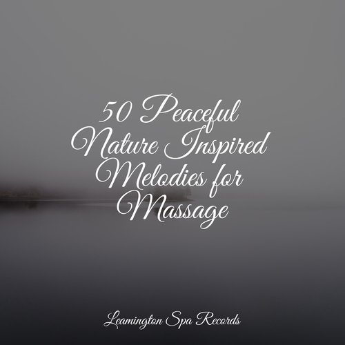 Meditating Music cover art