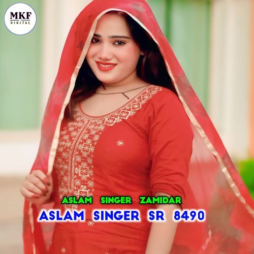 Aslam Singer SR 8490