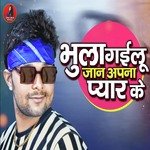 Bhula Gailu Jaan Apna Pyar Ke