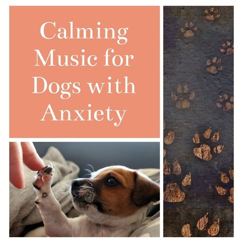 Calming Music To Stop Barking