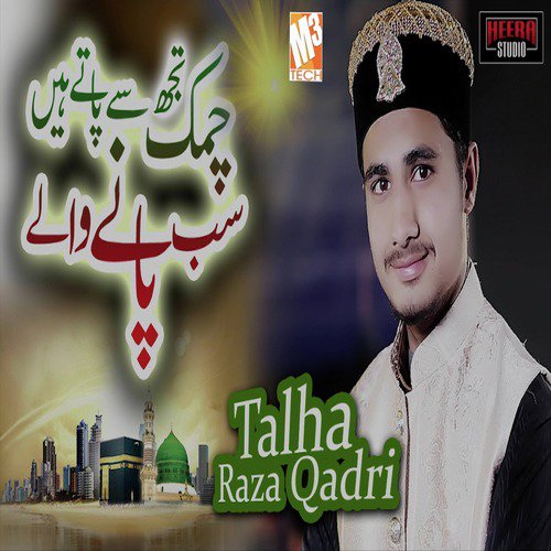Talha Raza Qadri