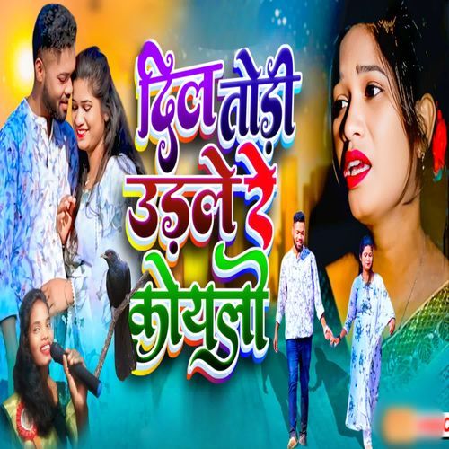 Dil todi udle re koylo