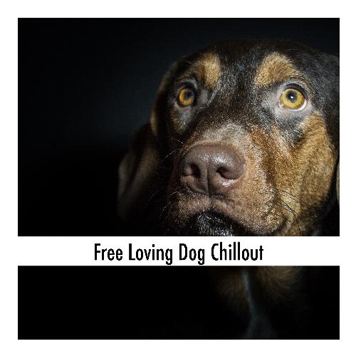 Dog Bedtime cover art