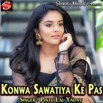 Rajaiya Ab Saiya Khojata