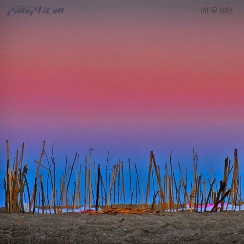 Release (Live) cover art