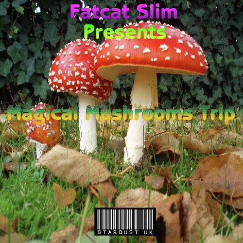 Magical Mushrooms Trip