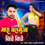 Mara Balamua Biche Biche