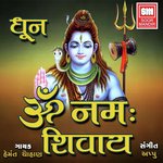 Om Namah Shivay (Dhoon)