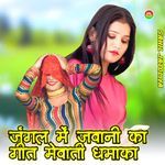 जंगल में जवानी का गीत मेवाती धमाका