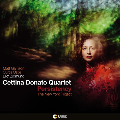 Persistency cover art