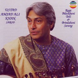 Raga Brindabani Sarang (Drut Gat in Teentaal (Sarod))