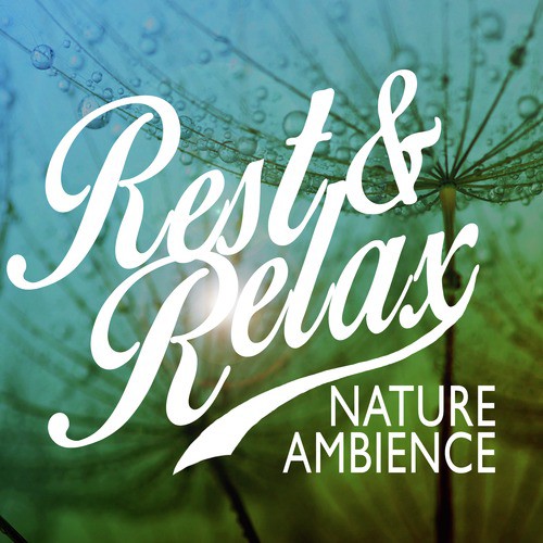 Rest &amp; Relax Nature Ambience