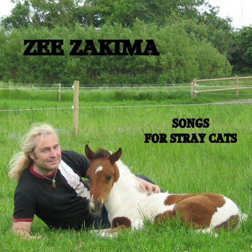 Cat Sitting On a Lonely Trail cover art