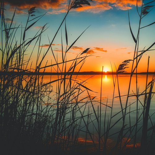 Ambient Aura cover art