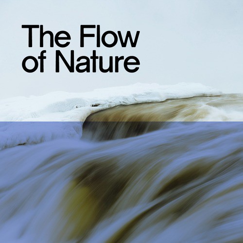 The Flow of Nature