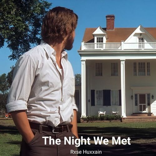 The Night We Met