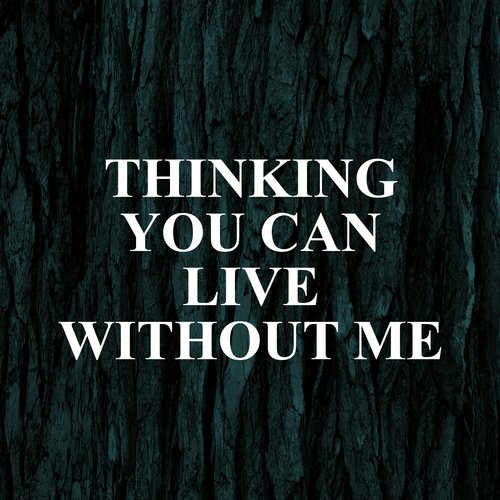 Thinking You Can Live Without Me_poster_image