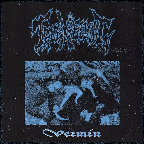 Vermin cover art