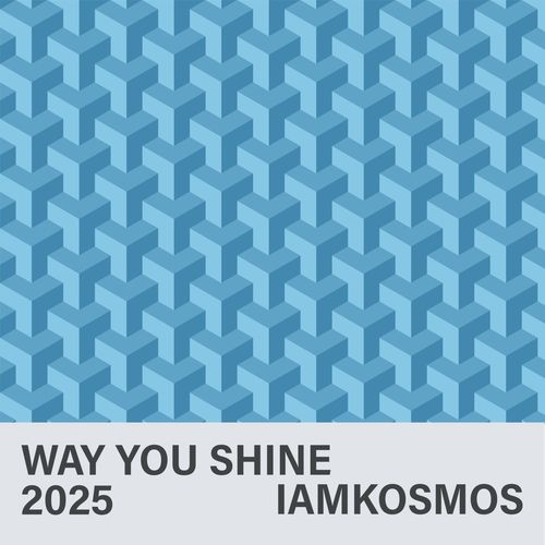 Way You Shine