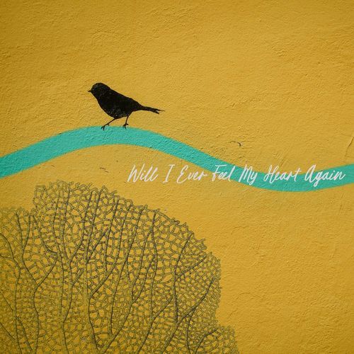 Will I Ever Feel My Heart Again
