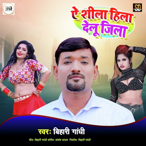 Ye Ho Shila Hila Delu Jila (Bhojpuri Song)