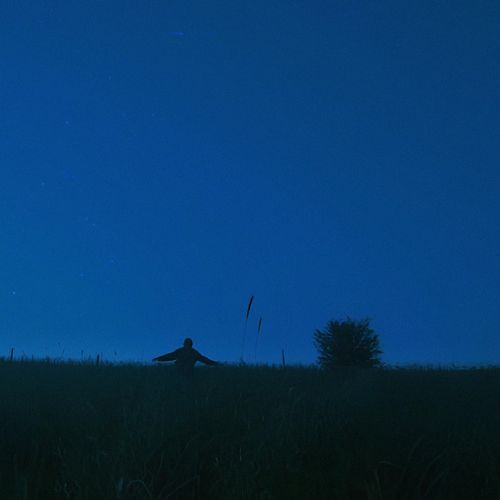 transient dreams