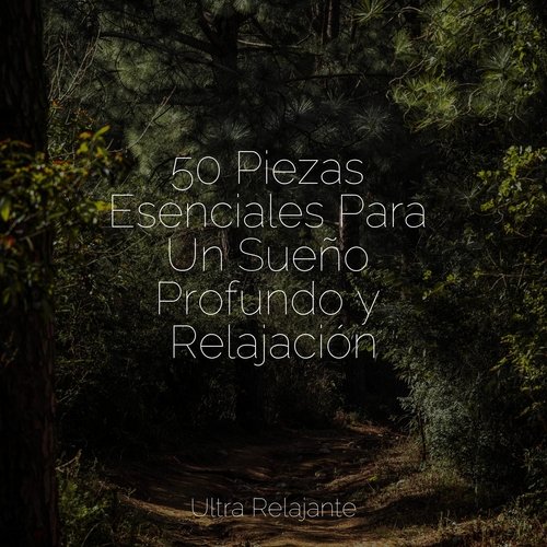 50 Piezas Esenciales Para Un Sueño Profundo y Relajación_poster_image