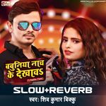 Babuniya Nach Ke Lofi