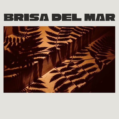 Brisa Del Mar cover art
