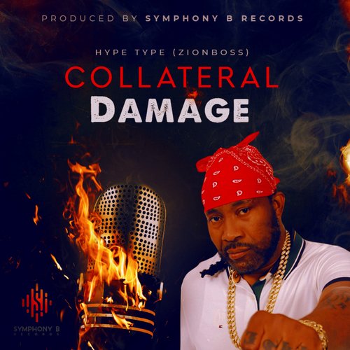 Collateral Damage_poster_image