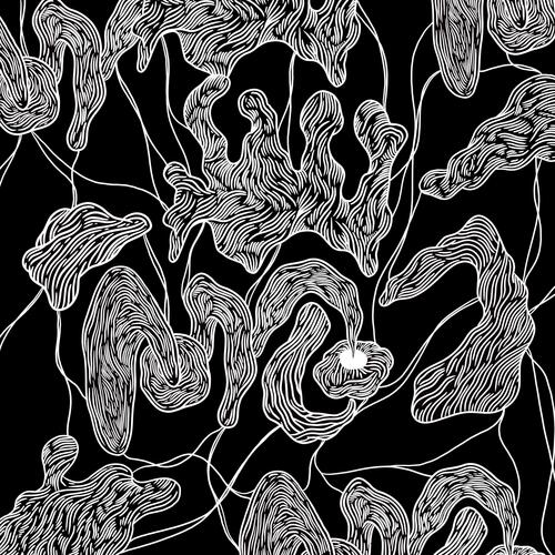 Mohr cover art