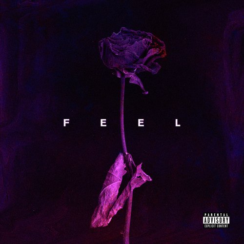 Feel_poster_image