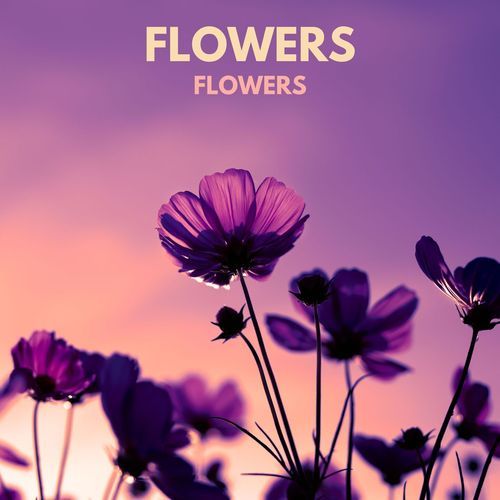 Flowers (Acoustic Edit)_poster_image