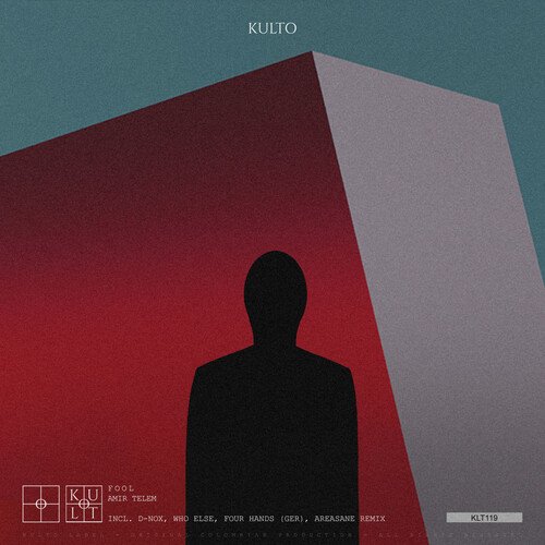 Fool (D-Nox Remix) cover art