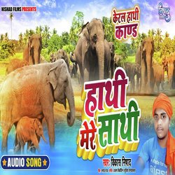 Hathi Mere Sathi-NicZXjd7XFc