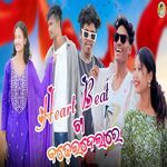 Heart Beat Ta Badheidela Re