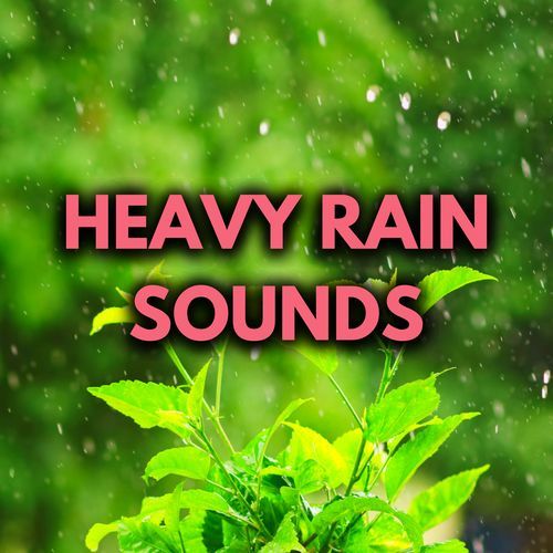 Heavy Rain Sounds_poster_image