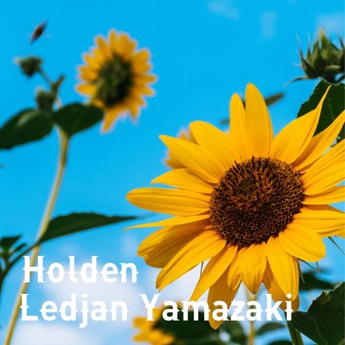 Holden cover art