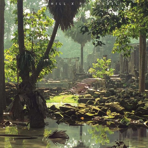 Jungle