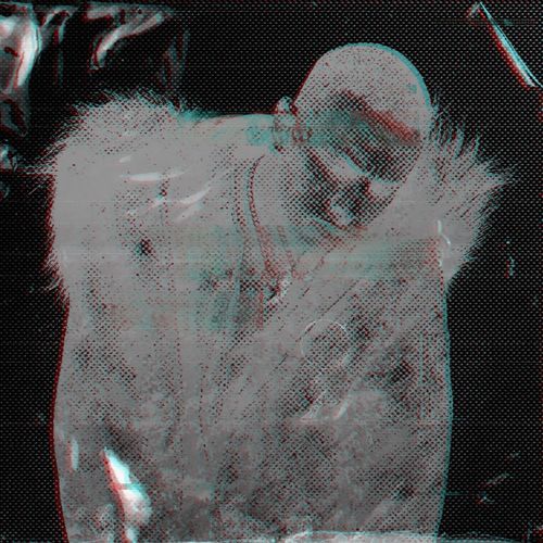 StoneHeartLife cover art