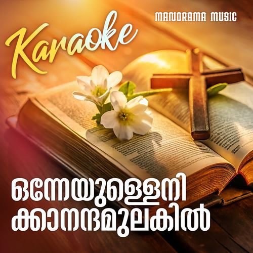 Onneyullenikkanandam Ulakil  Karaoke