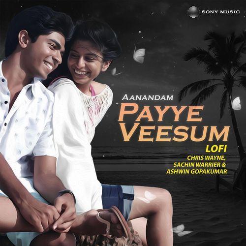 Payye Veesum (Lofi)-okv tunes