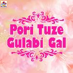 Pori Tuze Gulabi Gal