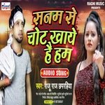 Sanam Se Chot Khaaye Hai Ham (Bhojpuri Song)