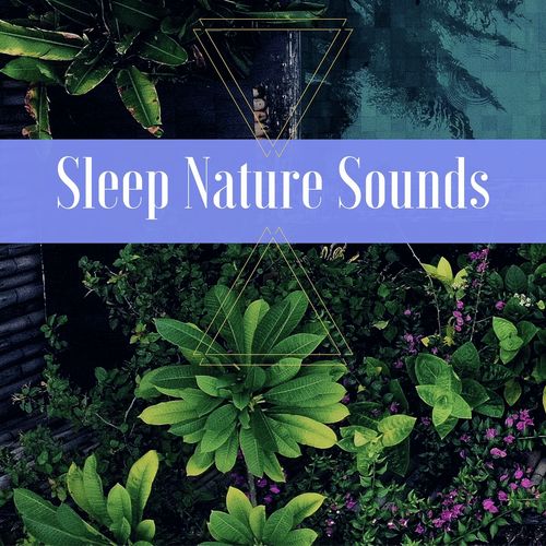 Sleep Nature Sounds_poster_image