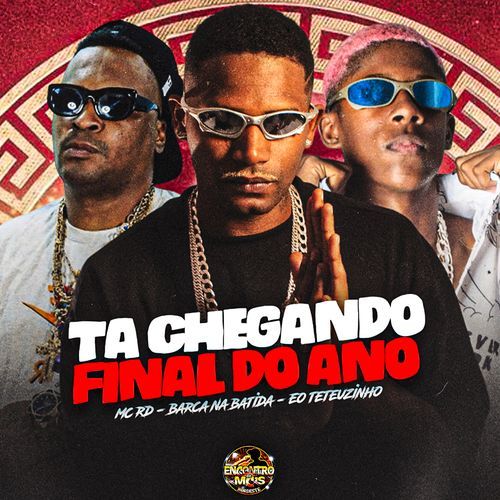 Ta Chegando Final de Ano_poster_image