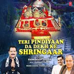 Teri Pindiyaan Da Dekh Ke Shringar