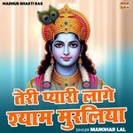 Teri Pyari Laage Shyam Muraliya