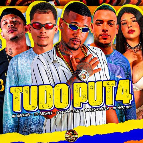 Tudo Put4_poster_image