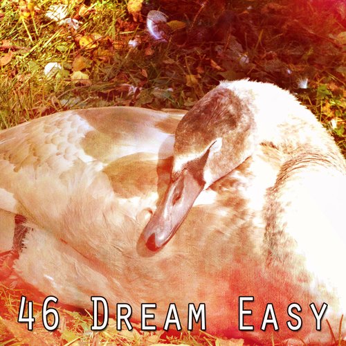 46 Dream Easy